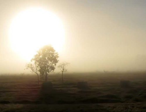 نوشته آزمایشی جدید وردپرس باران