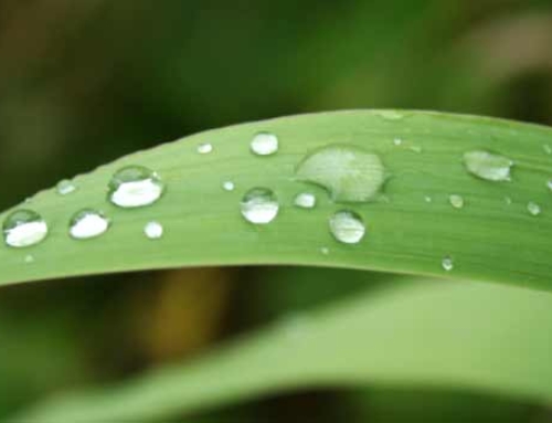 نوشته آزمایشی مرجع وردپرس فارسی – وردپرس بــاران